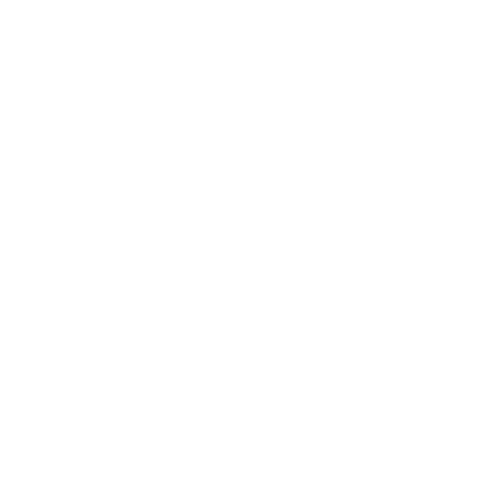 VectorBrainAI